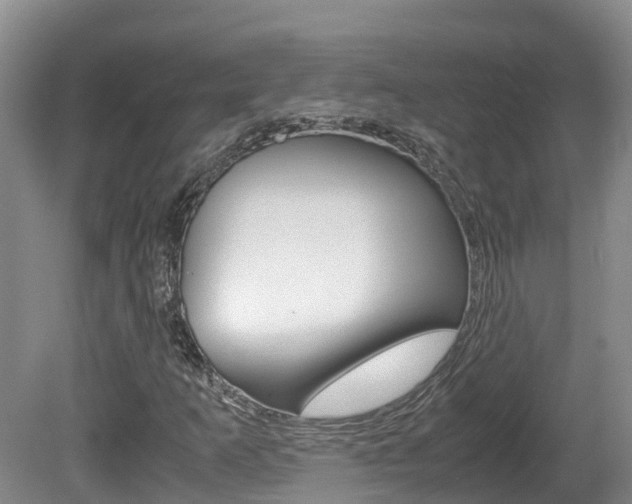 X0000081571253200701151017