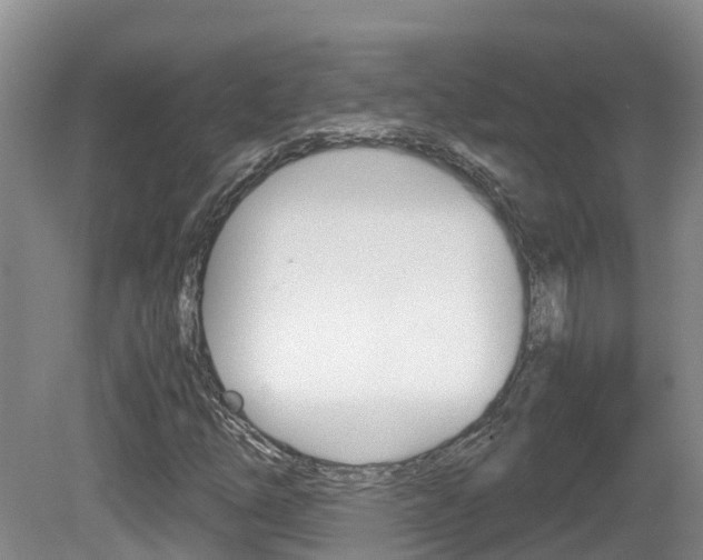X0000081571254200701151016
