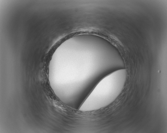 X0000081571256200701151016