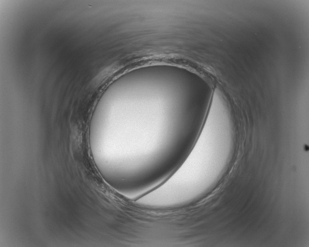 X0000081571257200701151016