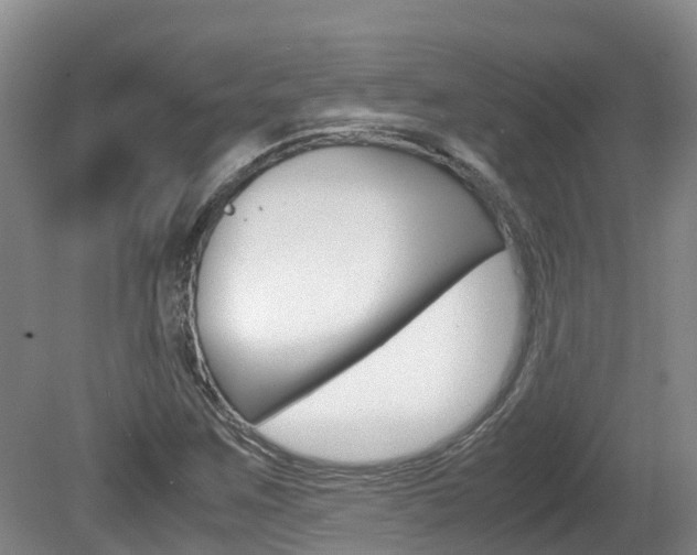 X0000081571259200701151016