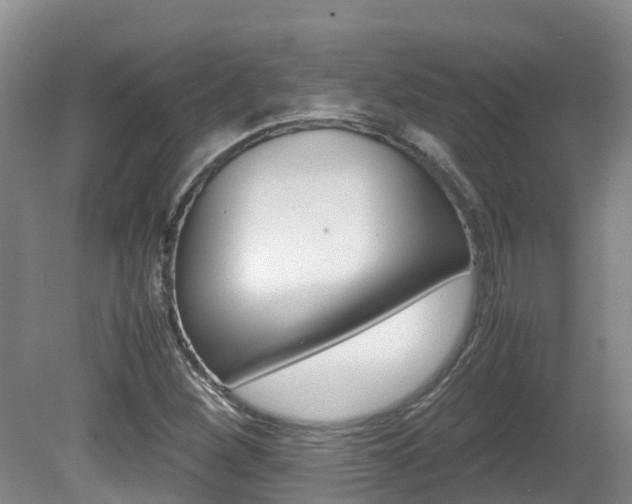 X0000081571260200701151016