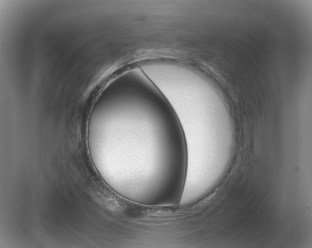 X0000081571261200701151016