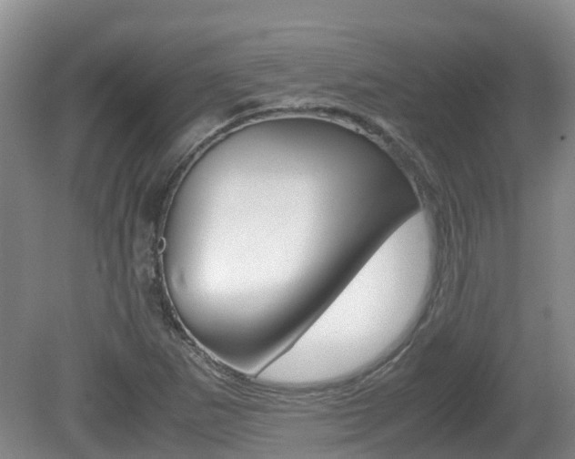 X0000081571265200701151016