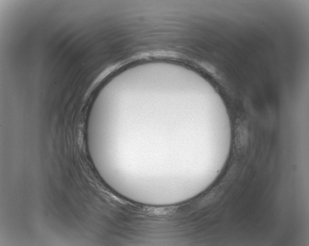 X0000081571266200701151016