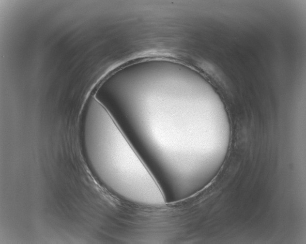 X0000081571268200701151016
