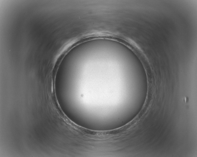 X0000081571269200701151016