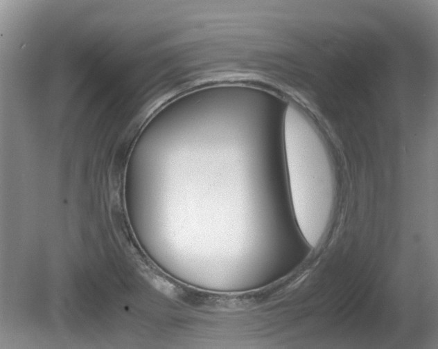 X0000081571273200701151016