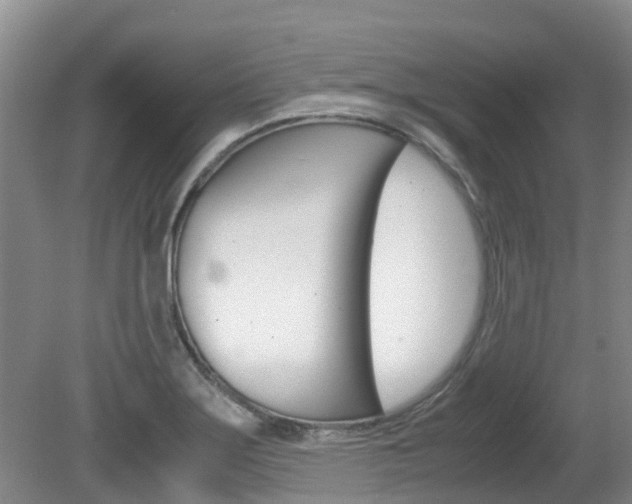 X0000081571275200701151016