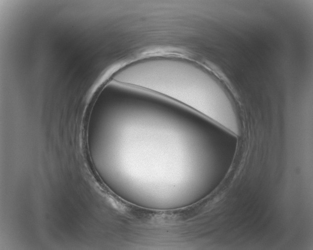 X0000081571277200701151016