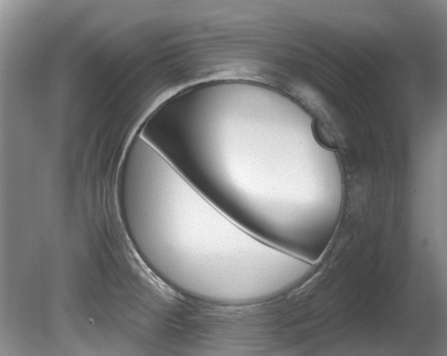 X0000081571284200701151016