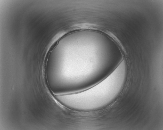 X0000081571285200701151016