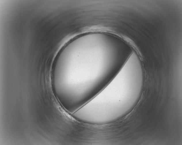 X0000081571288200701151016