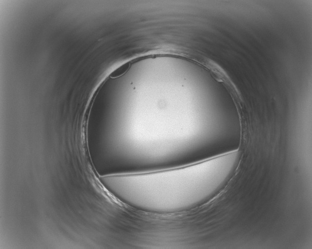X0000081571292200701151016