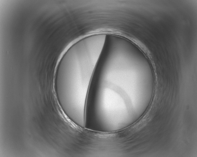 X0000081571296200701151016