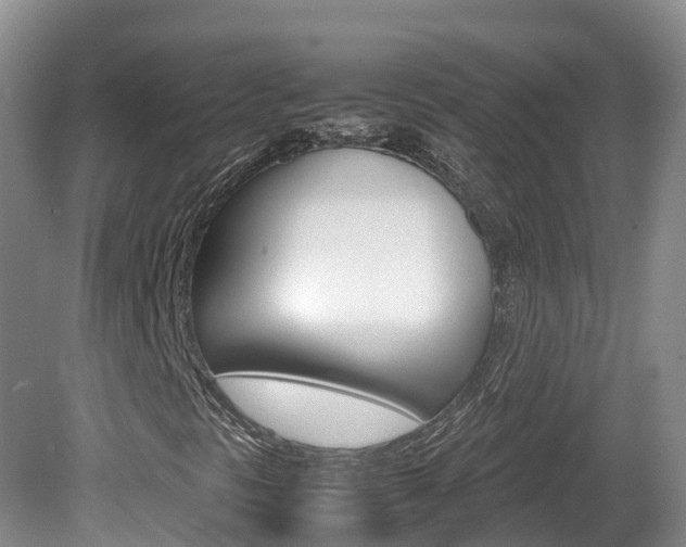 X0000081571297200701151015