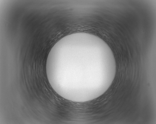 X0000081571298200701151015