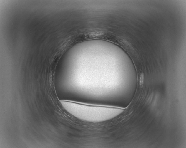X0000081571299200701151015