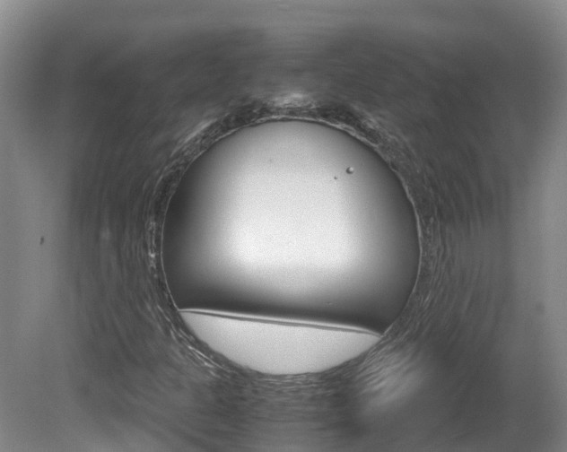 X0000081571301200701151015