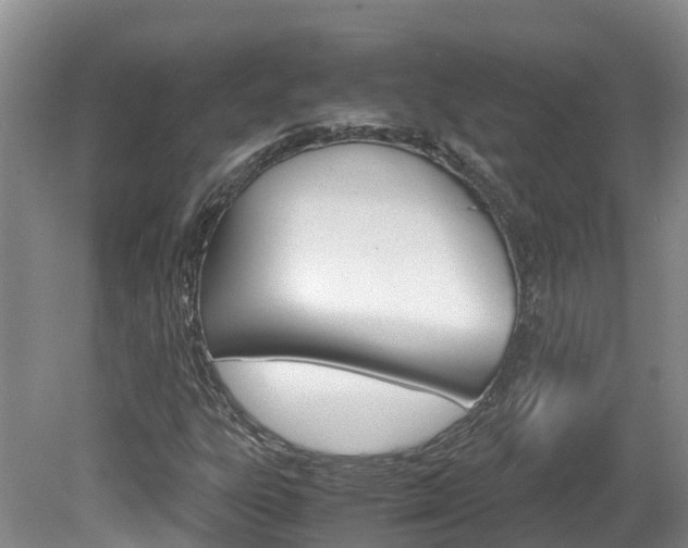 X0000081571303200701151015