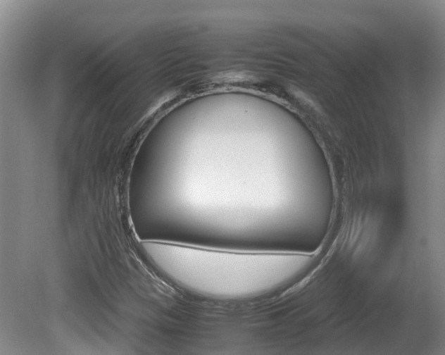 X0000081571305200701151015