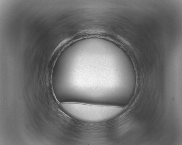 X0000081571306200701151015