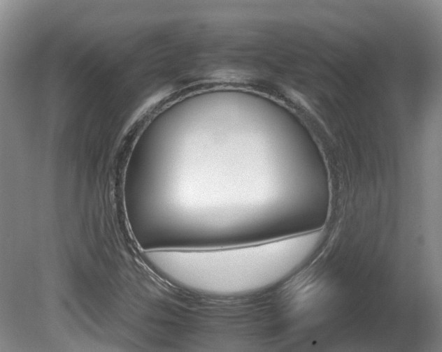 X0000081571307200701151015