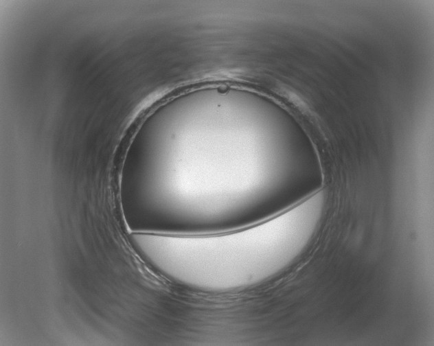 X0000081571308200701151015