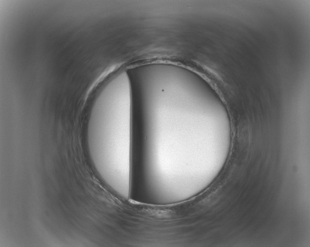 X0000081571309200701151015