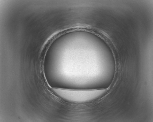 X0000081571310200701151015