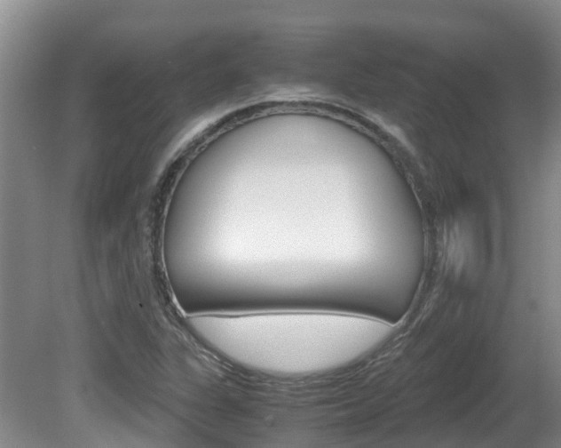 X0000081571311200701151015