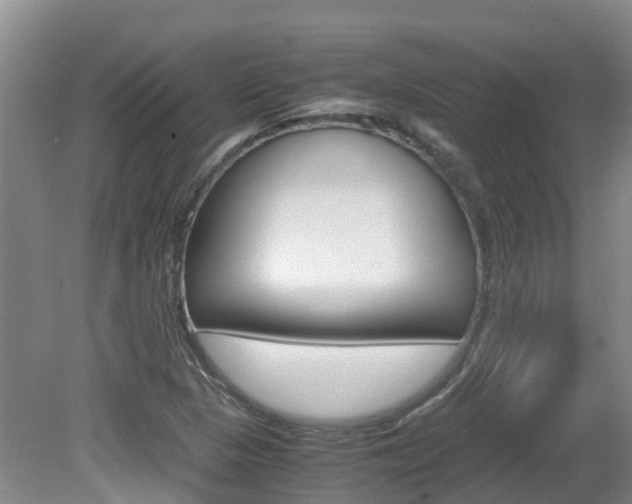 X0000081571313200701151015