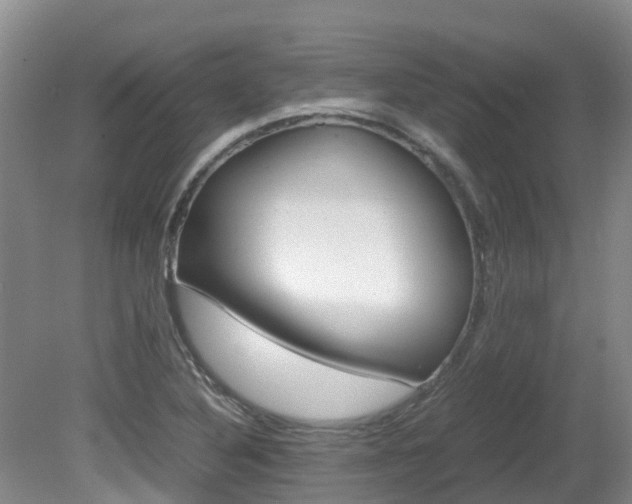 X0000081571316200701151015