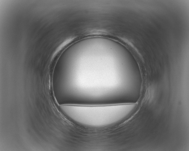 X0000081571317200701151015
