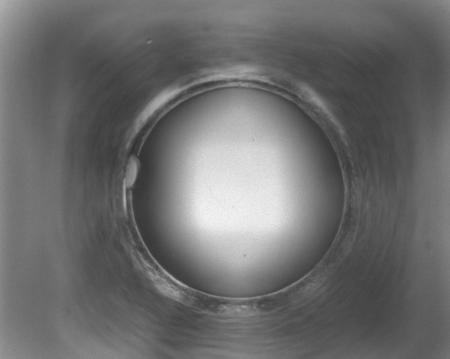 X0000081571320200701151015