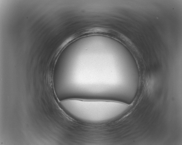 X0000081571321200701151015