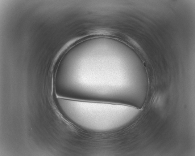 X0000081571323200701151015