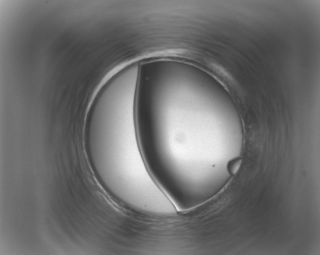 X0000081571324200701151015