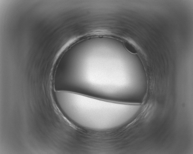 X0000081571325200701151015
