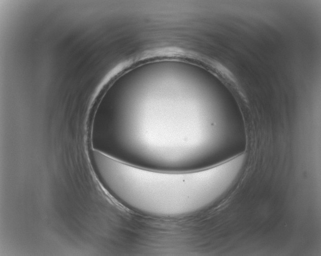 X0000081571326200701151015
