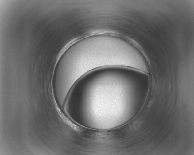 X0000081571330200701151016