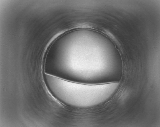 X0000081571331200701151016