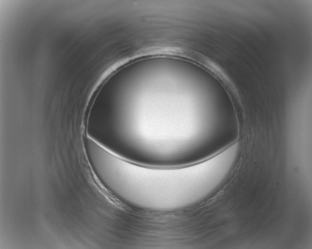 X0000081571332200701151016