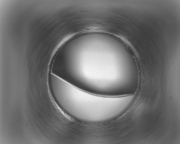 X0000081571333200701151016
