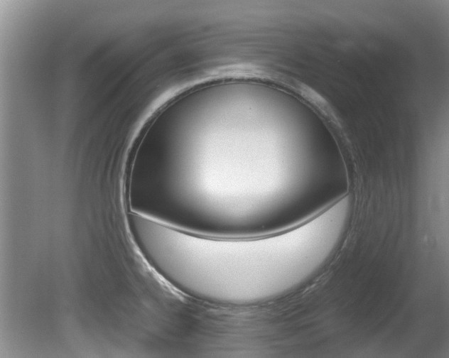 X0000081571334200701151016