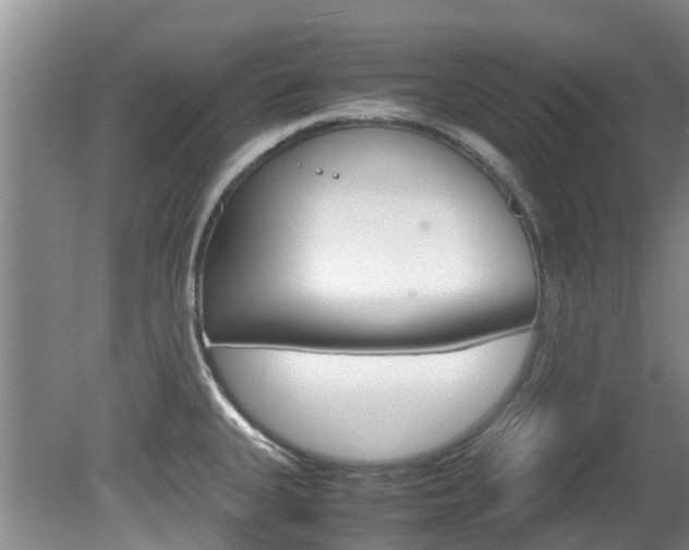 X0000081571335200701151016