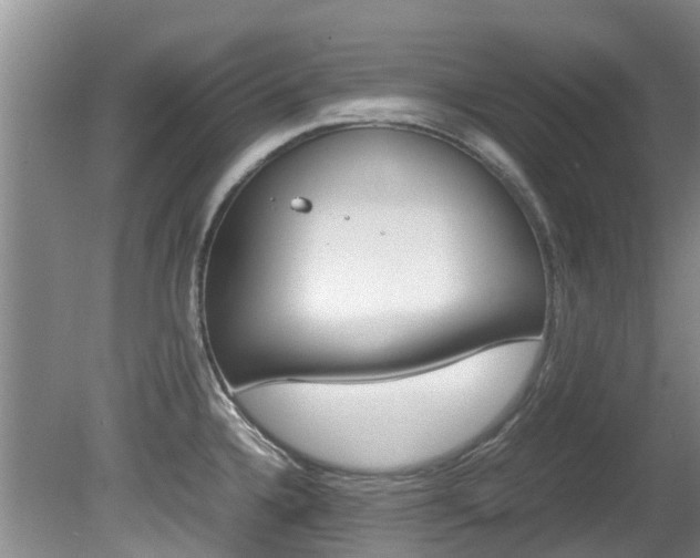 X0000081571336200701151016
