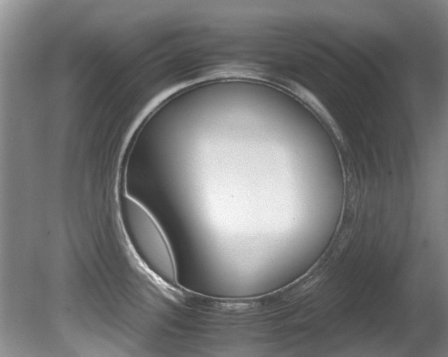 X0000081571339200701151016