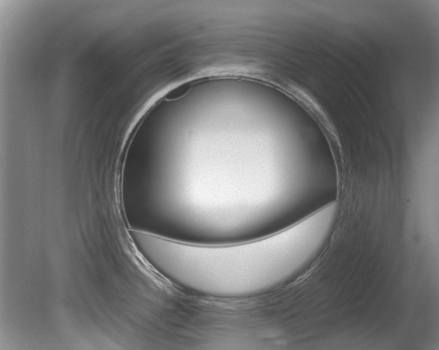 X0000081571340200701151016