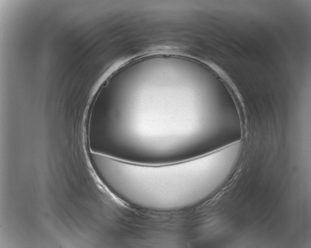 X0000081571341200701151016